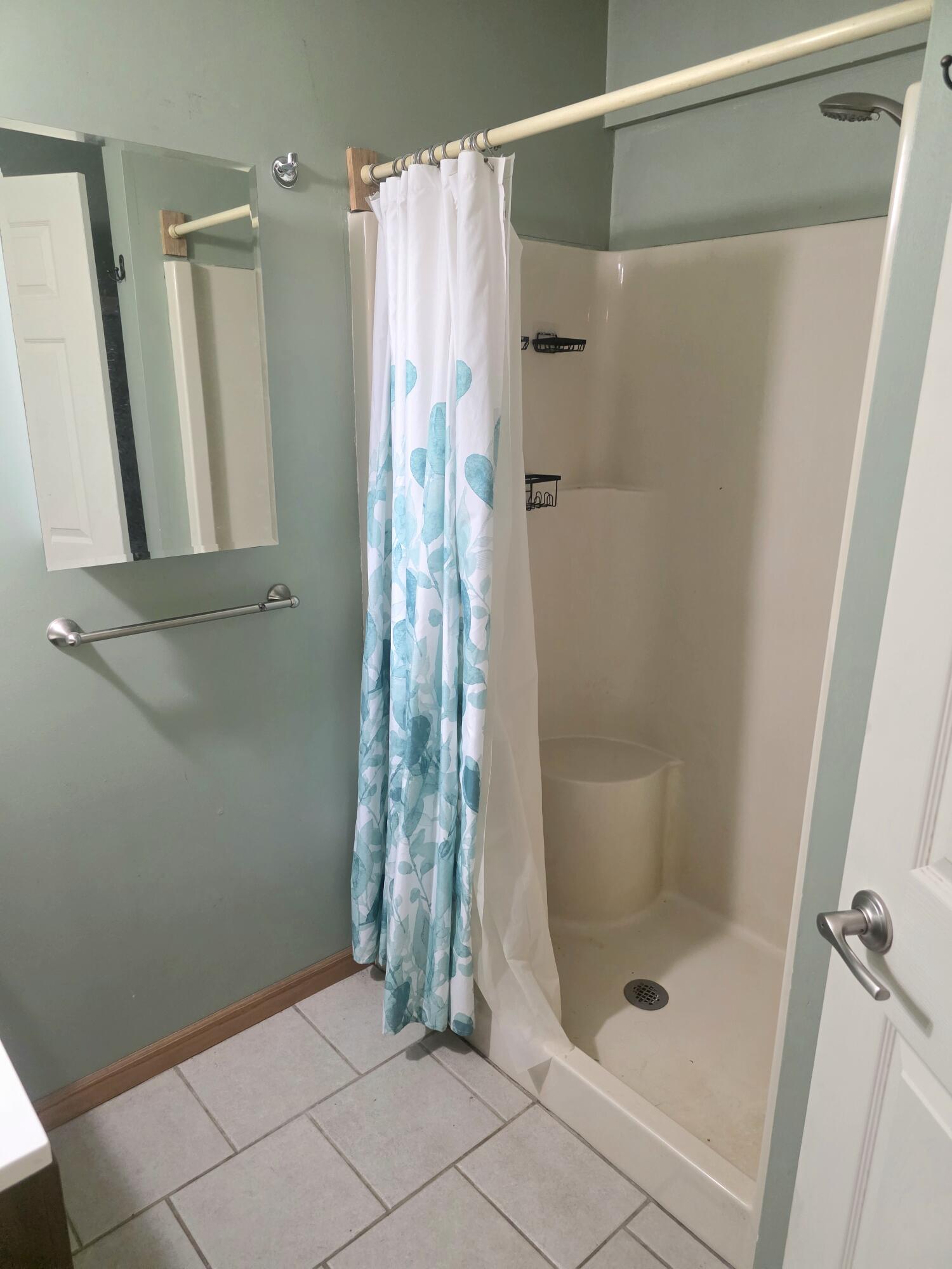1402 Deaner Road Northeast Edmore, MI 48829 - Photo 14 of 17 Lower Bath