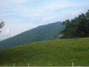 Lot #14 Sink Valley Road Butler, TN 37640 - Photo 8 of 8 Photo 9
