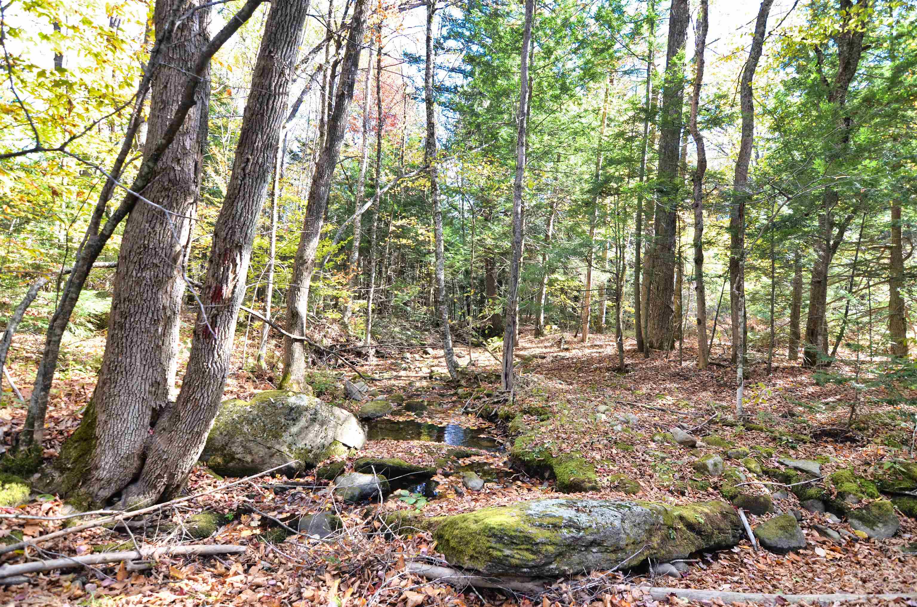 46 Grafton Road Wilmot, NH 03287 - Photo 6 of 12 Gallery Image 6