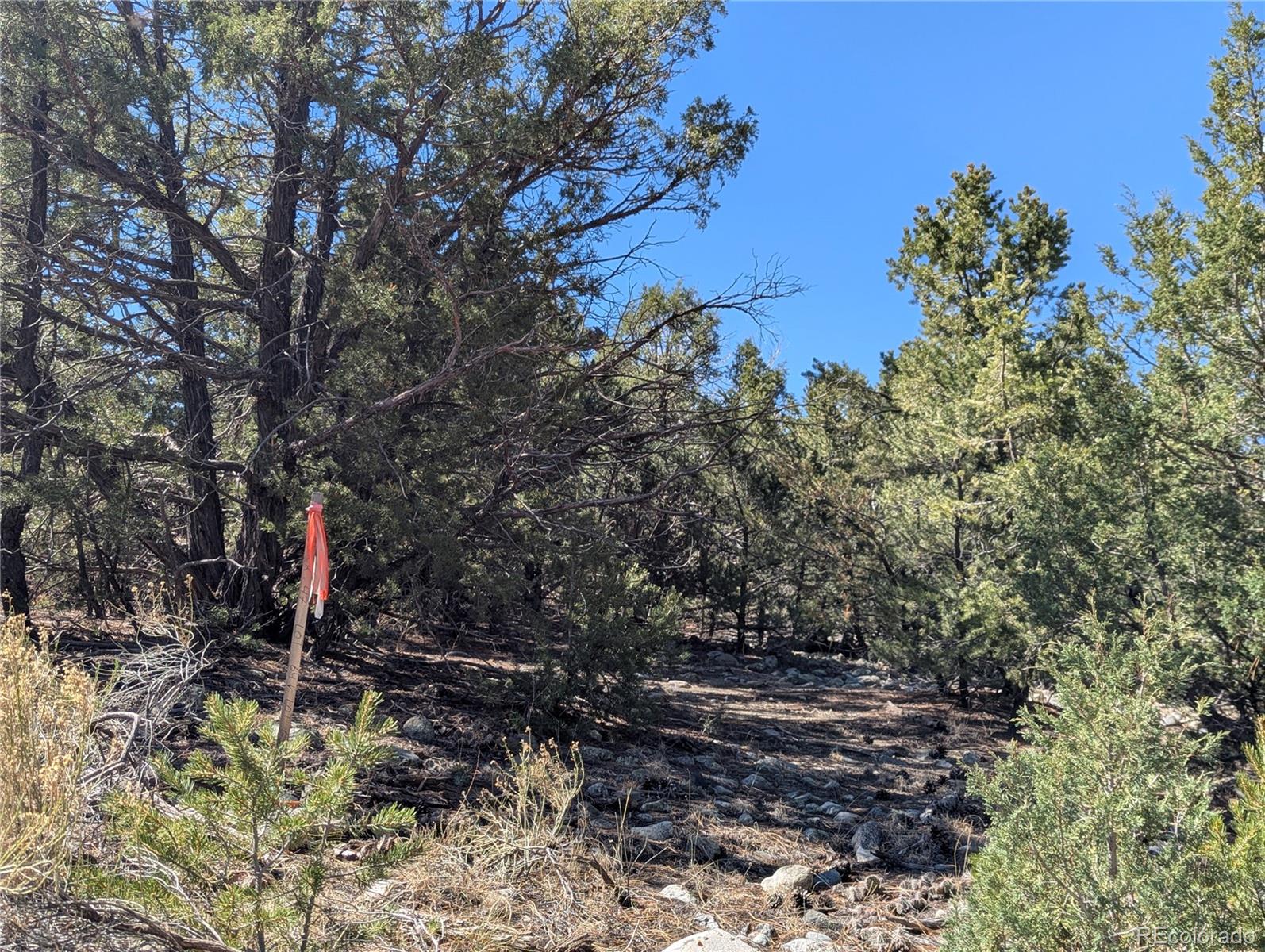 200 Mill Run Road Mosca, CO 81146 - Photo 12 of 33 Gallery Image 12