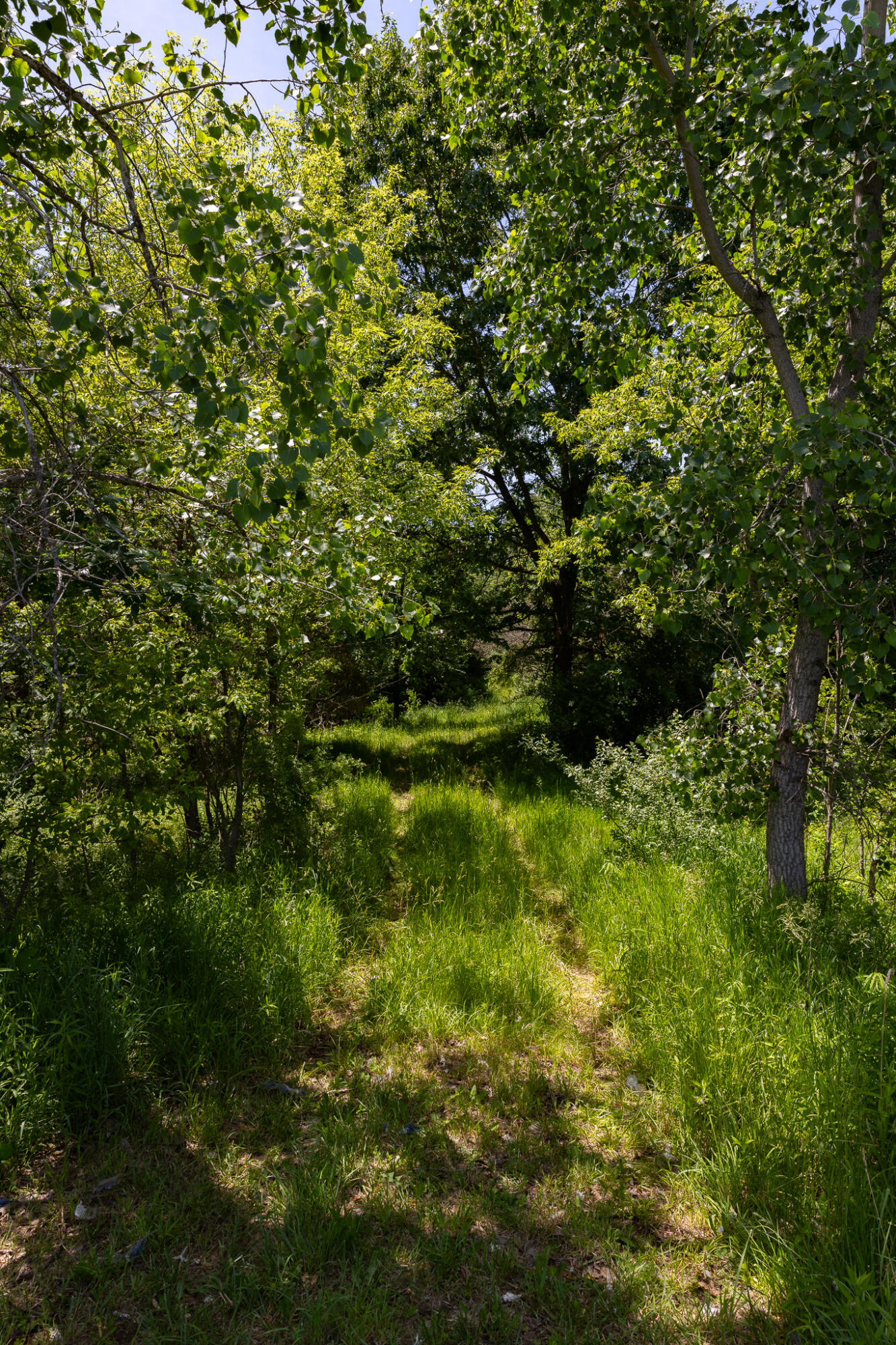 28 28 Mile Road Albion, MI 49224 - Photo 28 of 41 28 Mile -30
