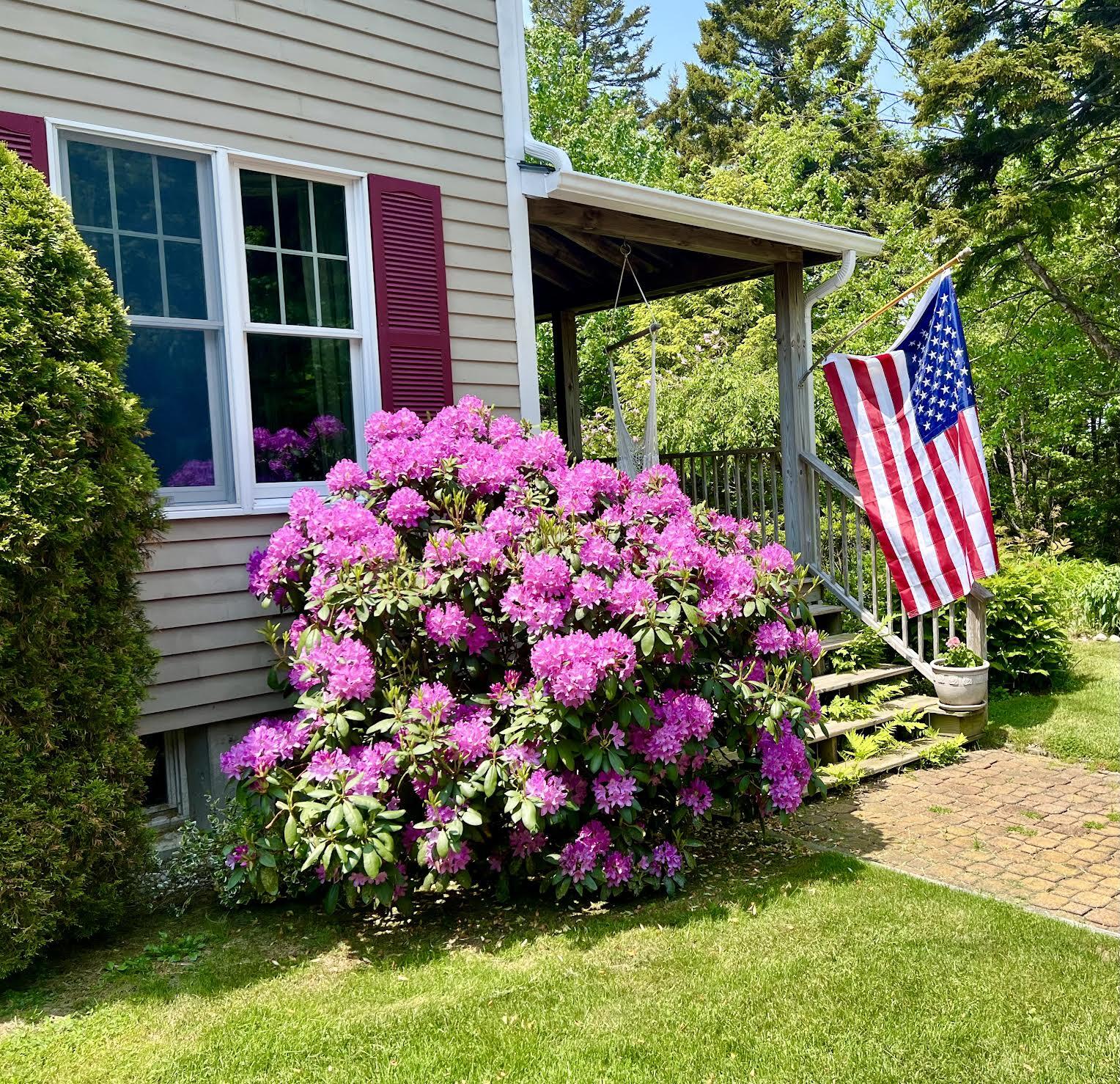 177 Richtown Road Bernard, ME 04612 - Photo 5 of 59 Blooming in June