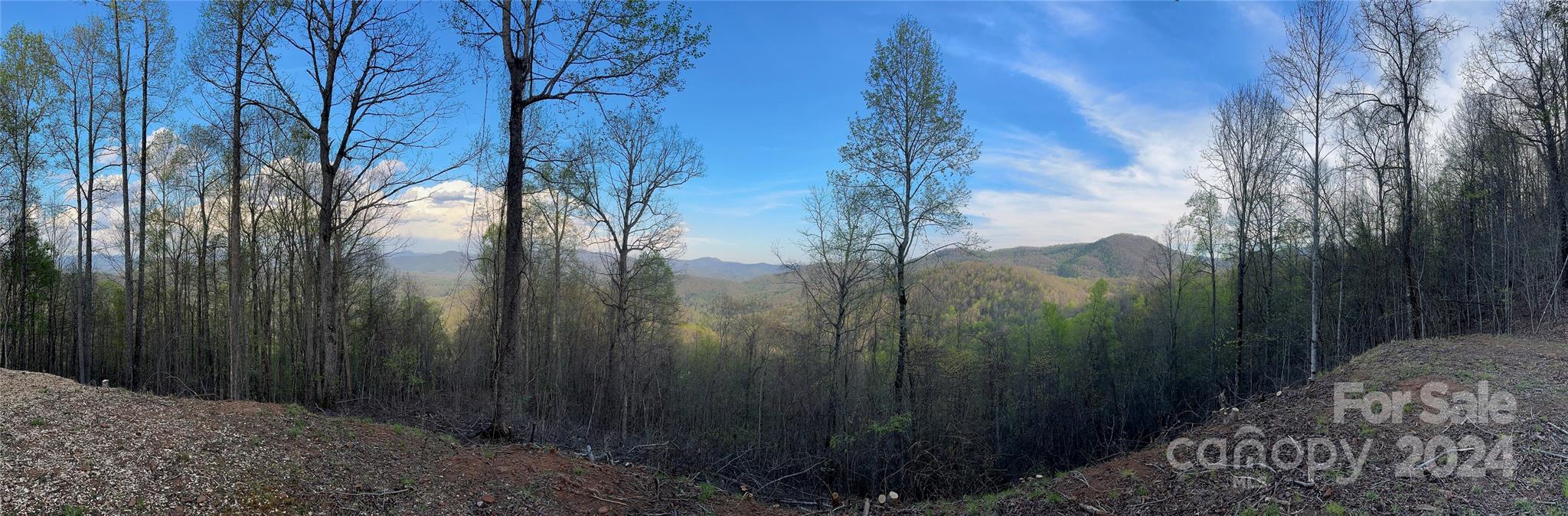 350 Balsam View Road Franklin, NC 28734 - Photo 38 of 44 Gallery Image 38