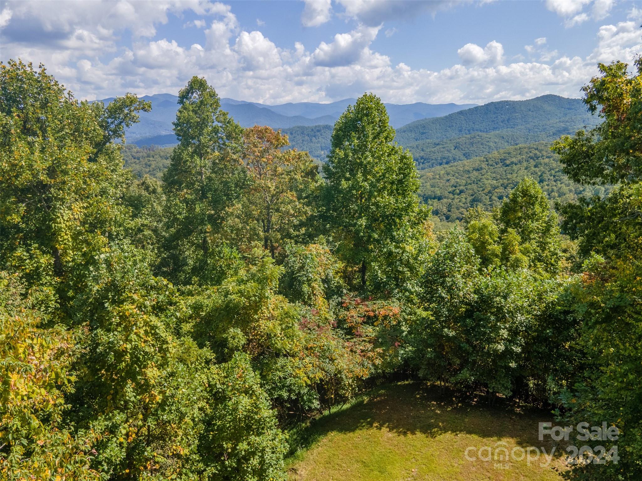 350 Balsam View Road Franklin, NC 28734 - Photo 39 of 44 Gallery Image 39