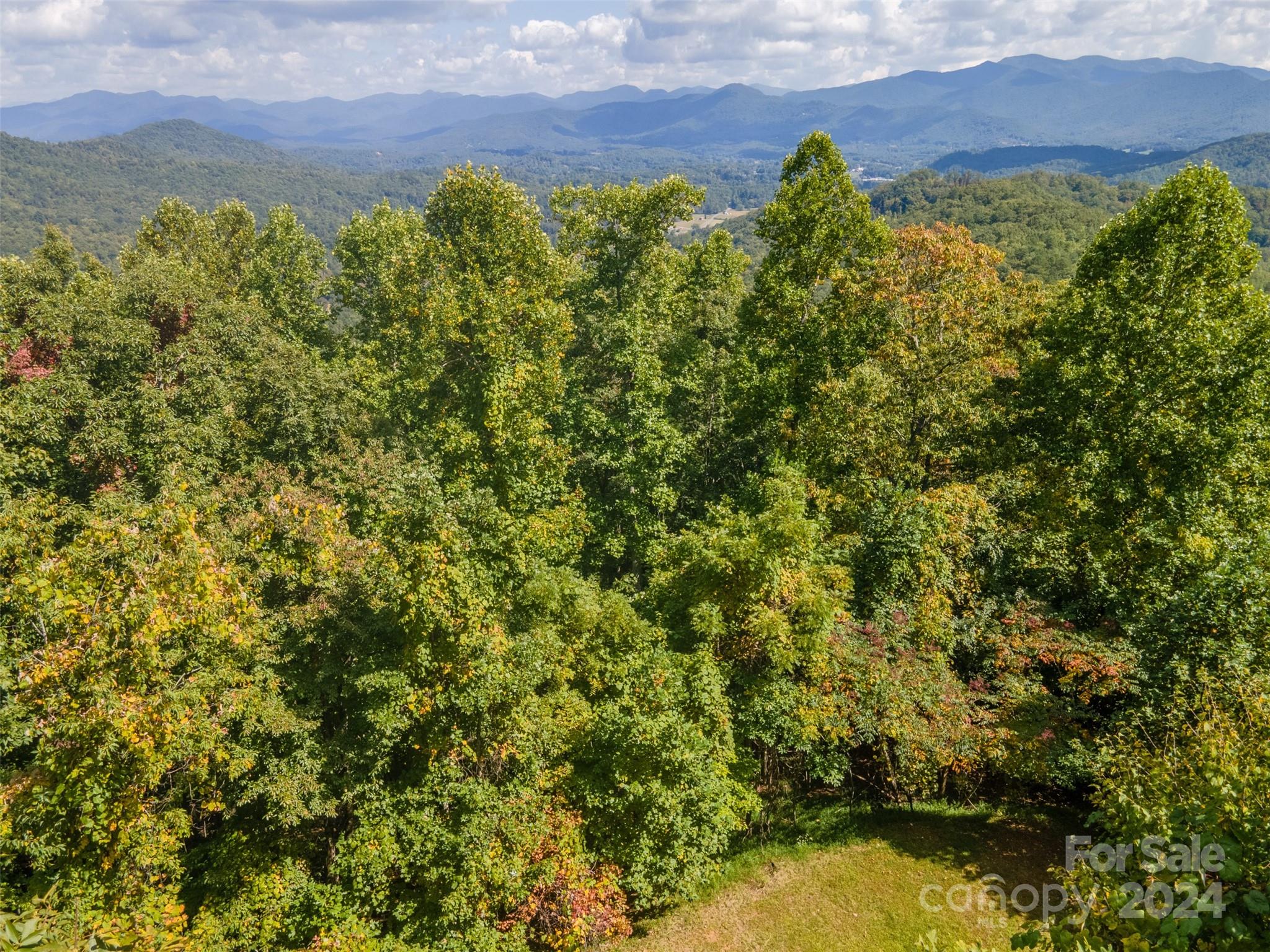 350 Balsam View Road Franklin, NC 28734 - Photo 40 of 44 Gallery Image 40