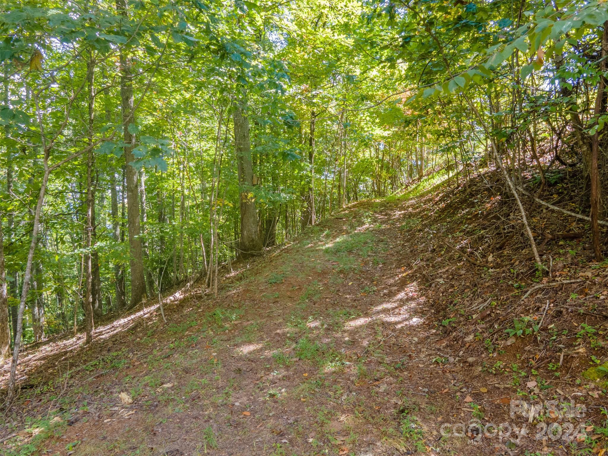350 Balsam View Road Franklin, NC 28734 - Photo 44 of 44 Gallery Image 44