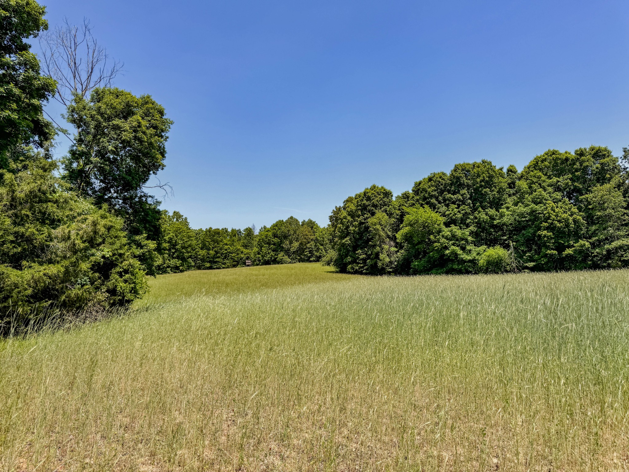 0 Johnson Road Lutts, TN 38471 - Photo 2 of 68 Gallery Image 2