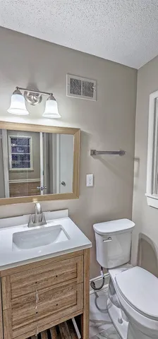 a bathroom with a sink a toilet and mirror