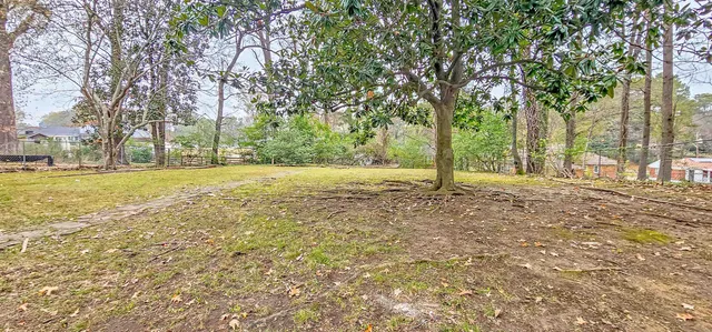 a view of a yard with a tree