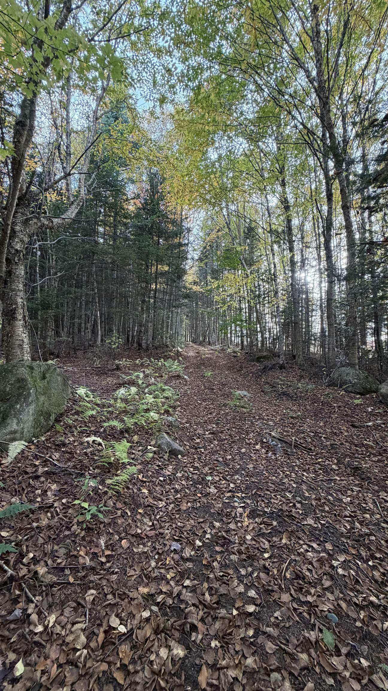 0 Shadow Lake Road Glover, VT 05839 - Photo 55 of 59 Gallery Image 55