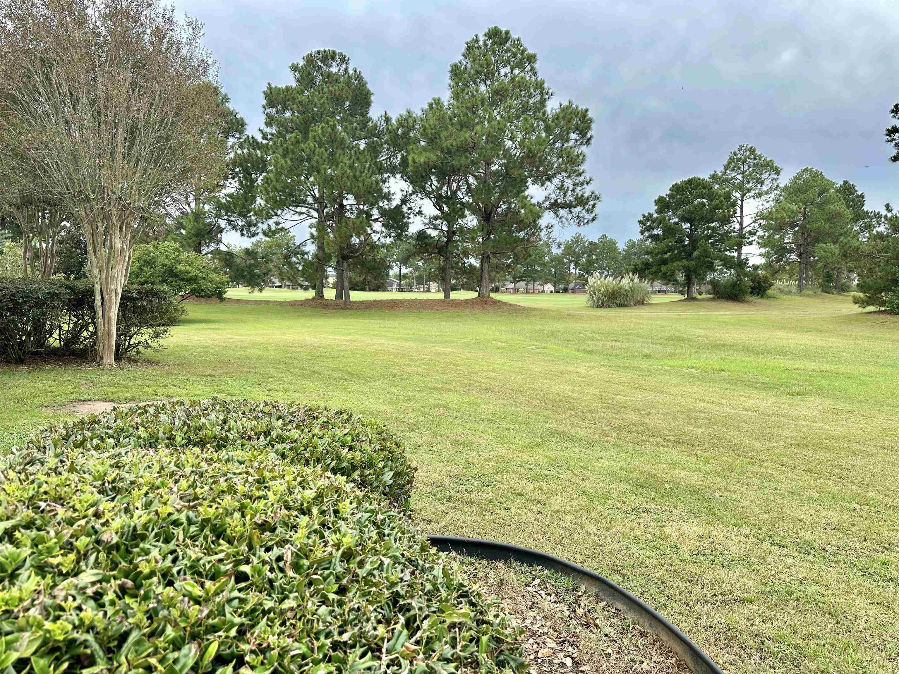 9593 Dornock Lane Foley, AL 36535 - Photo 4 of 40 Yard