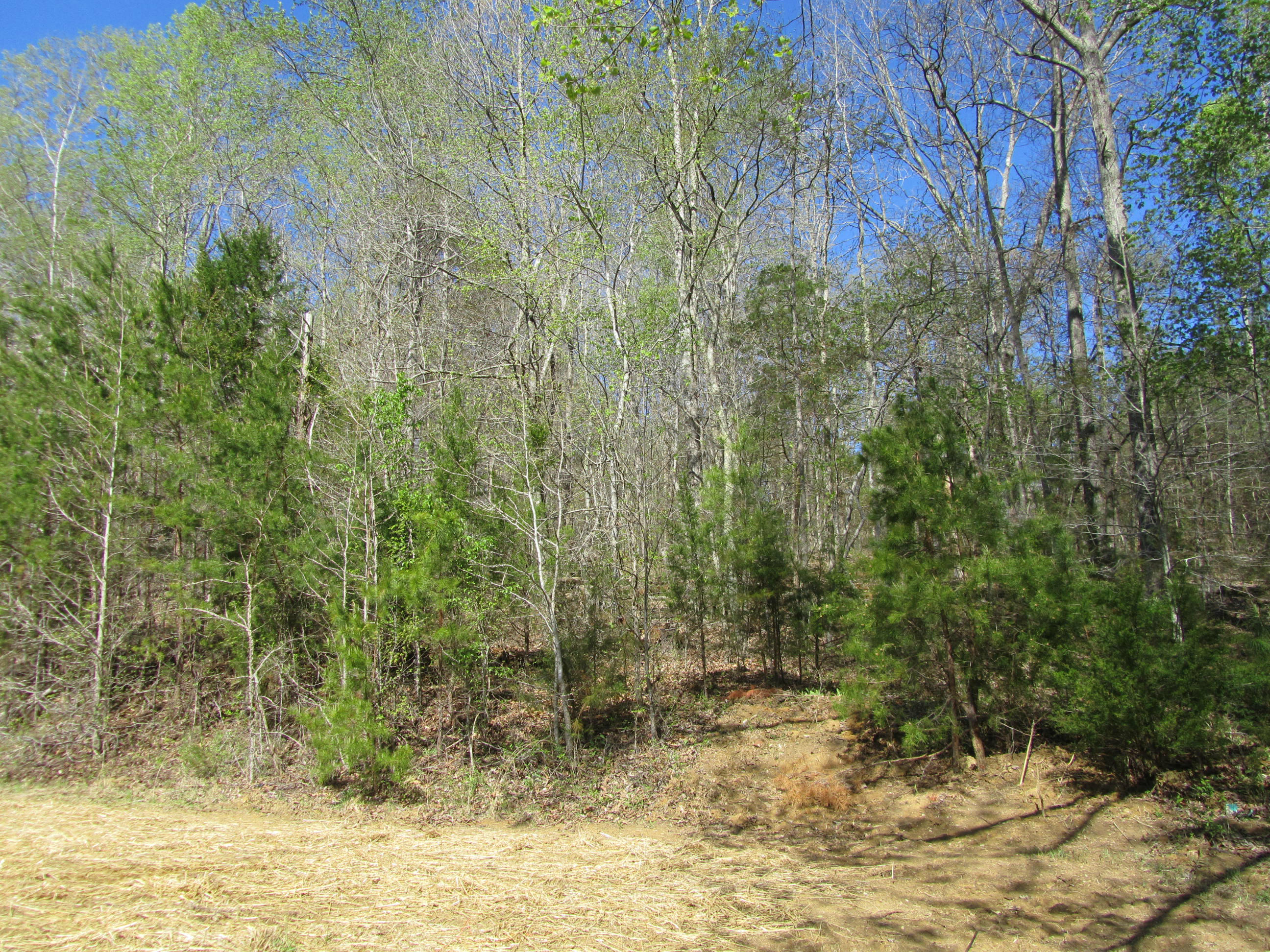 149 County Road 181 Decatur, TN 37322 - Photo 35 of 36 IMG_3688