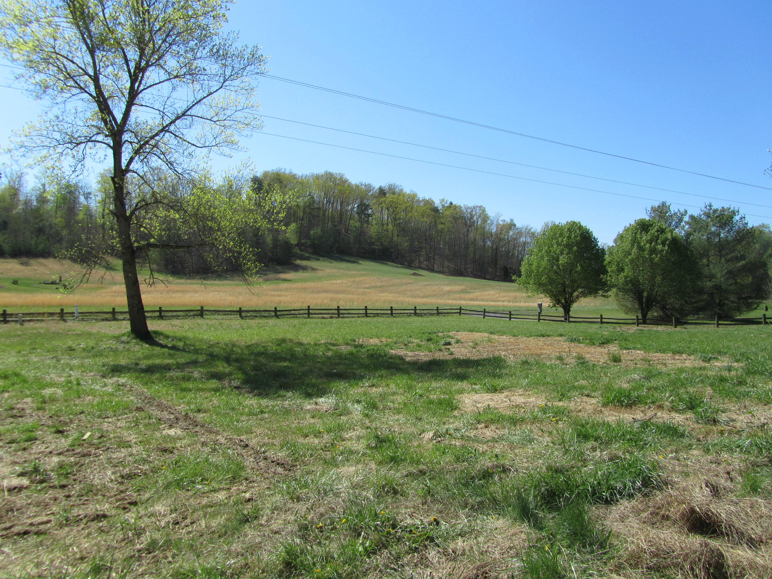 149 County Road 181 Decatur, TN 37322 - Photo 36 of 36 IMG_3689