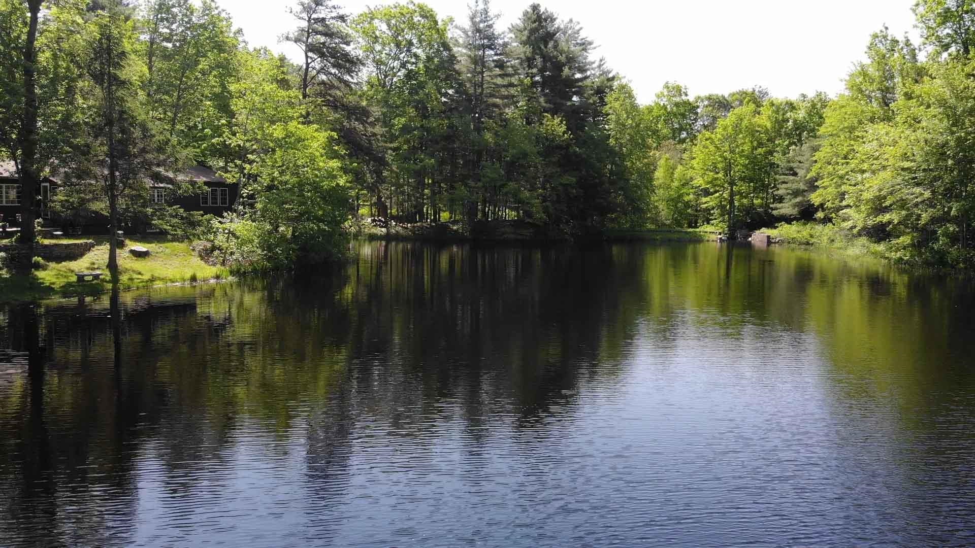 11 North Shore Road Chester, NH 03036 - Photo 3 of 32