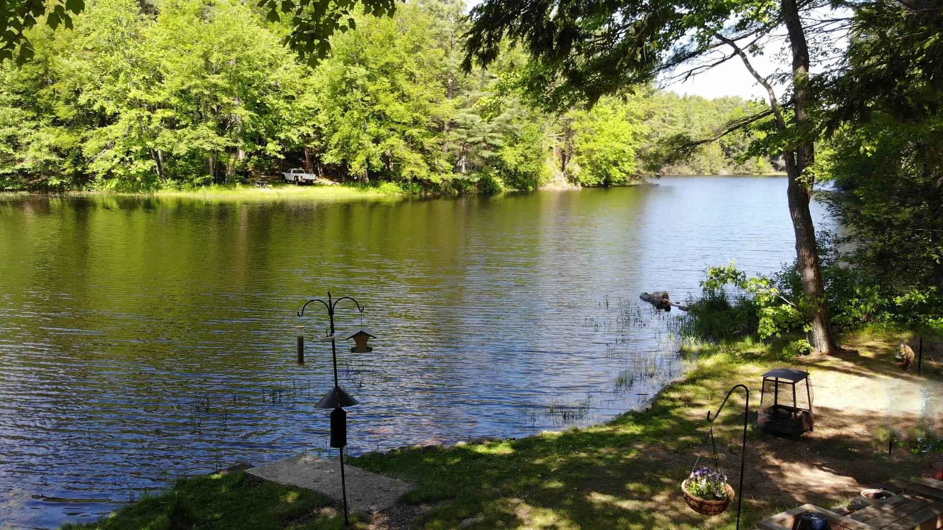 11 North Shore Road Chester, NH 03036 - Photo 6 of 32