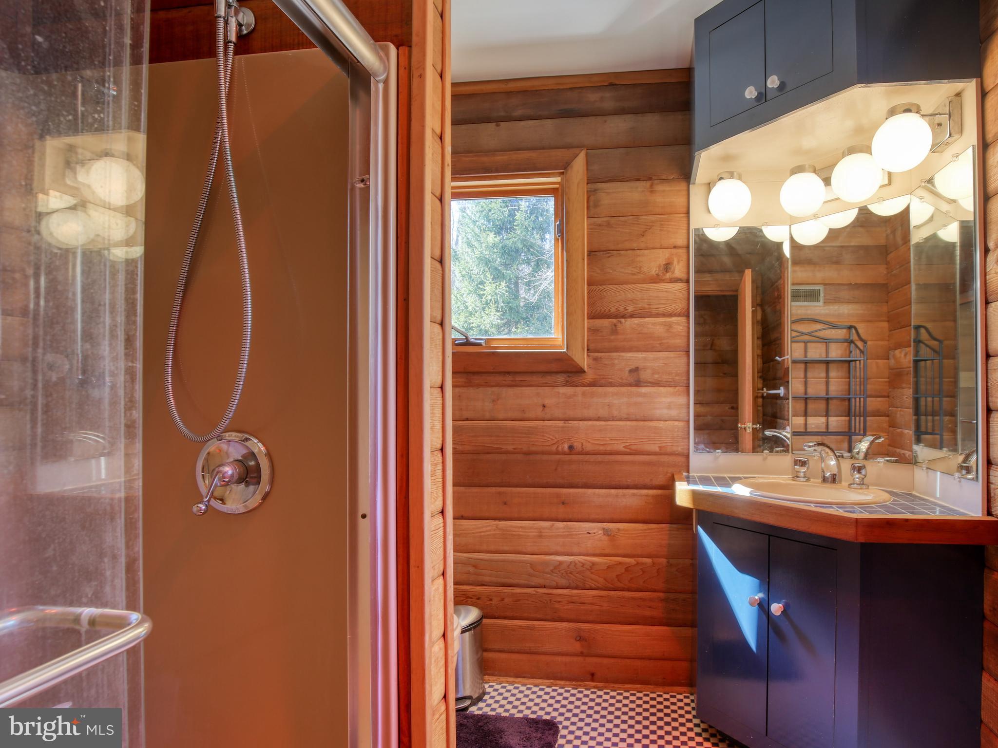 19688 Blue Ridge Mountain Road Bluemont, VA 20135 - Photo 20 of 32 Gallery Image 20