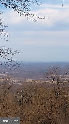 19688 Blue Ridge Mountain Road Bluemont, VA 20135 - Photo 3 of 32 Million dollar views of Virginia Countryside.