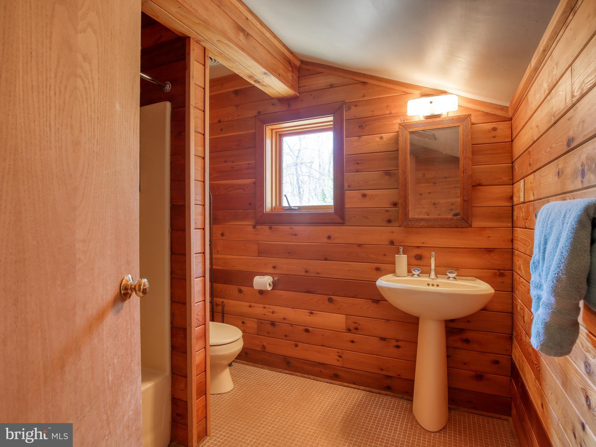 19688 Blue Ridge Mountain Road Bluemont, VA 20135 - Photo 22 of 32 Gallery Image 22