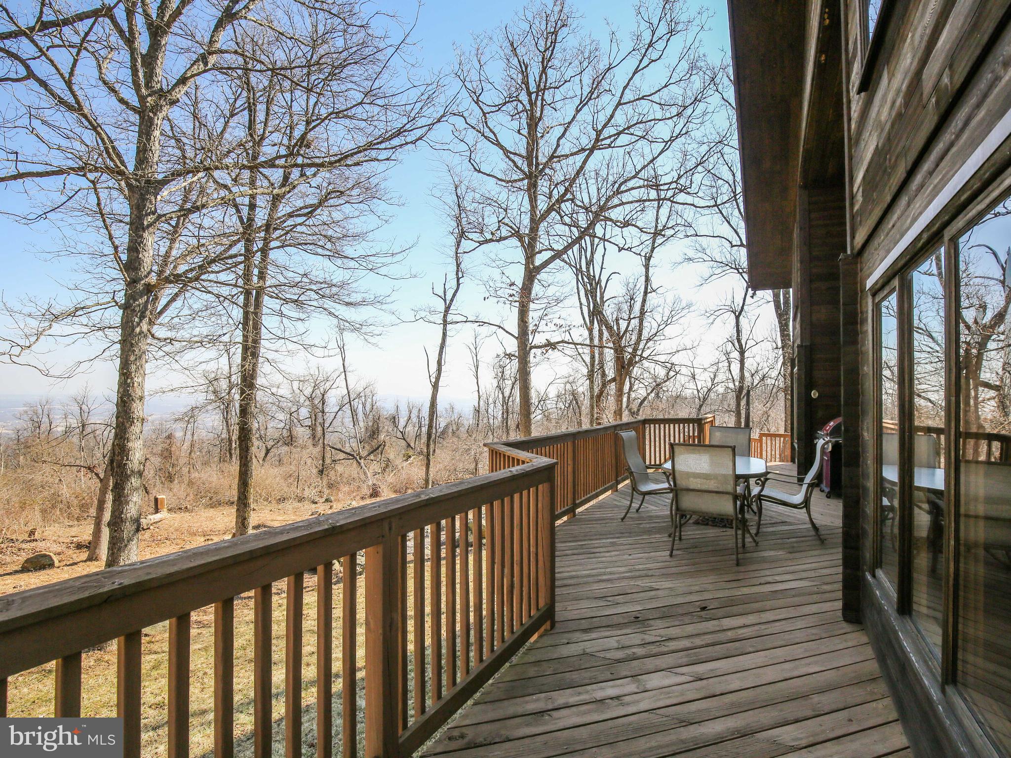 19688 Blue Ridge Mountain Road Bluemont, VA 20135 - Photo 29 of 32 Gallery Image 29