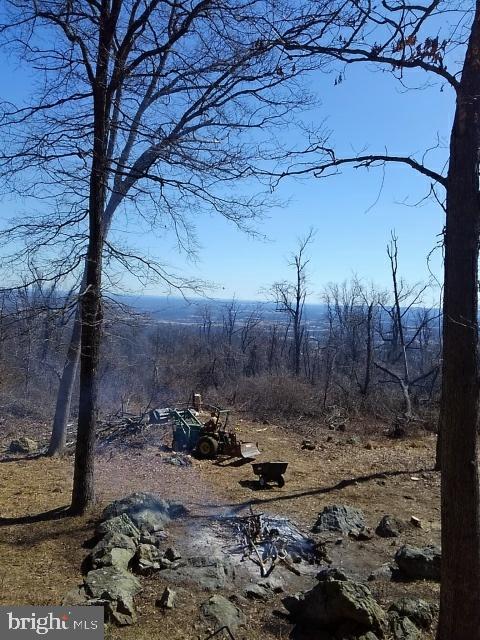 19688 Blue Ridge Mountain Road Bluemont, VA 20135 - Photo 31 of 32 Gallery Image 31