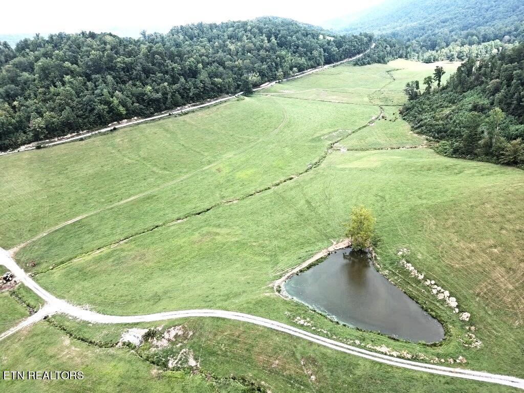Lone Road Pioneer, TN 37847 - Photo 12 of 26 MAX_0139 (Medium)LMF1