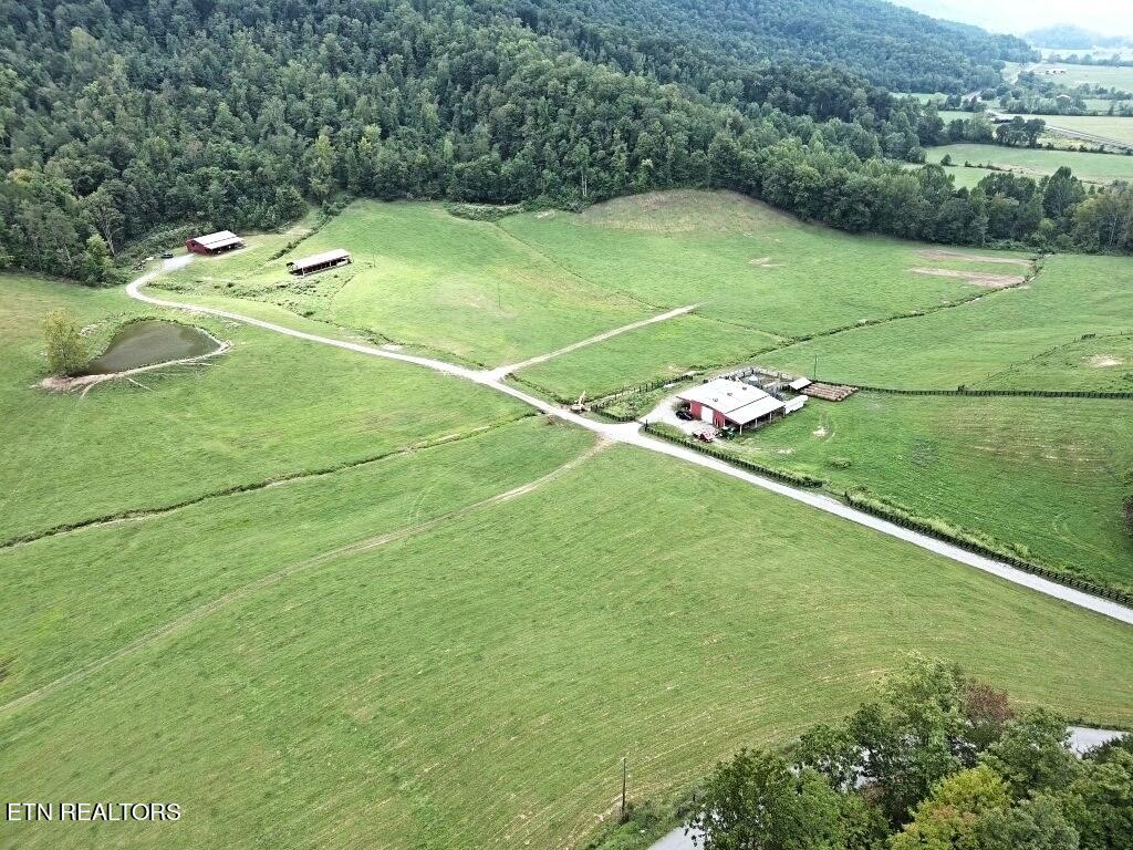 Lone Road Pioneer, TN 37847 - Photo 16 of 26 MAX_0155 (Medium)LMF1