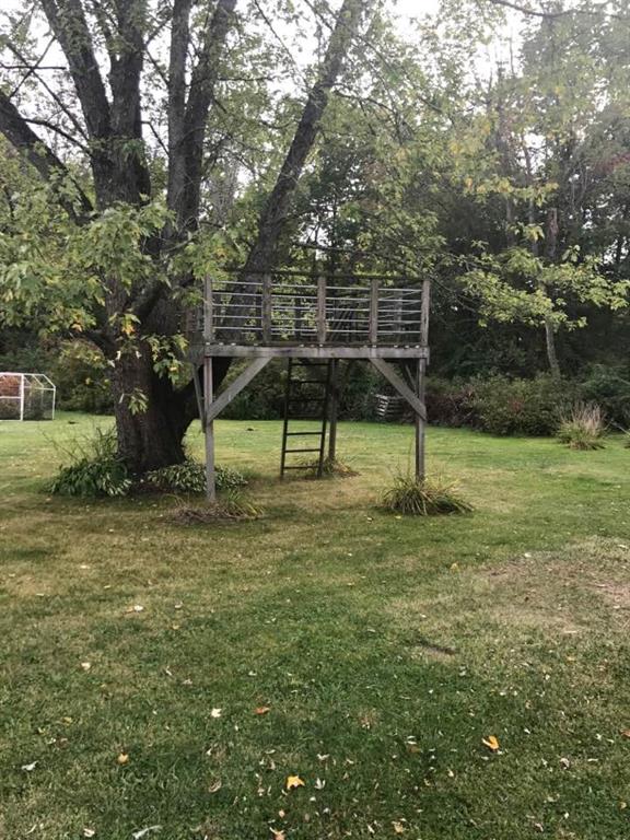 10873 Cutter Road Meadville, PA 16335 - Photo 22 of 25 Backyard tree house for the kids enjoyment.