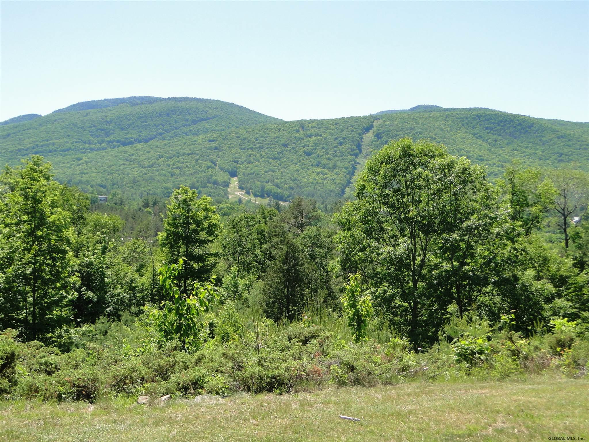 1459 River Road Johnsburg, NY 12853 - Photo 11 of 31 Photo 11