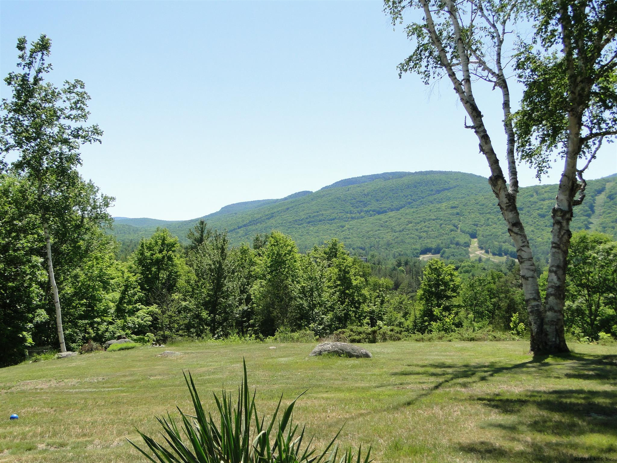 1459 River Road Johnsburg, NY 12853 - Photo 10 of 31 Photo 10