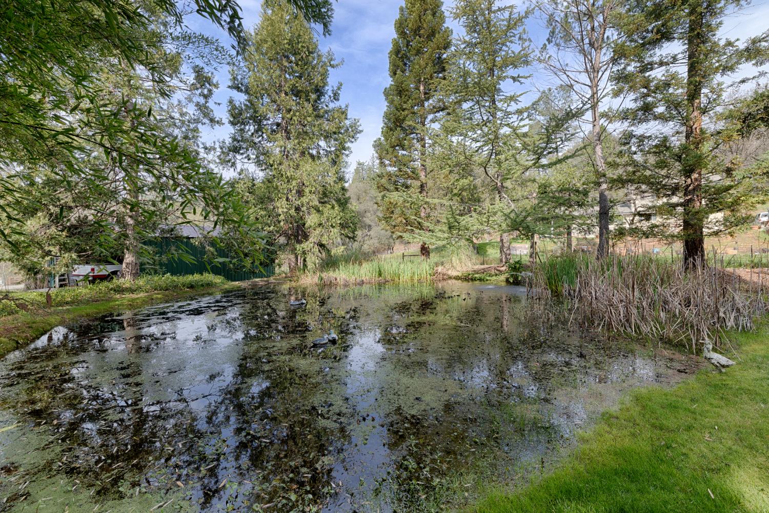 19520 Placer Hills Road Colfax, CA 95713 - Photo 3 of 59