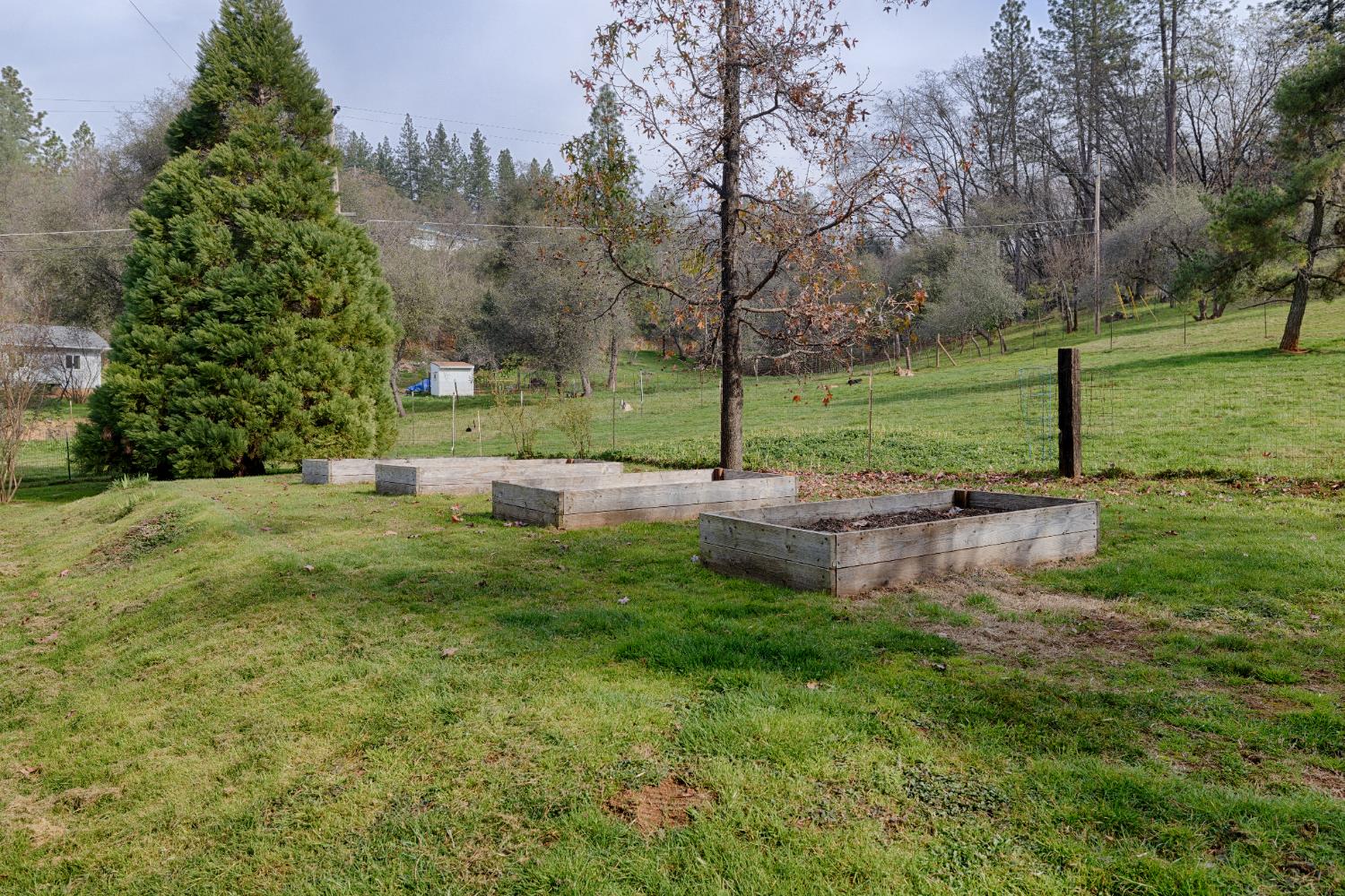 19520 Placer Hills Road Colfax, CA 95713 - Photo 31 of 59