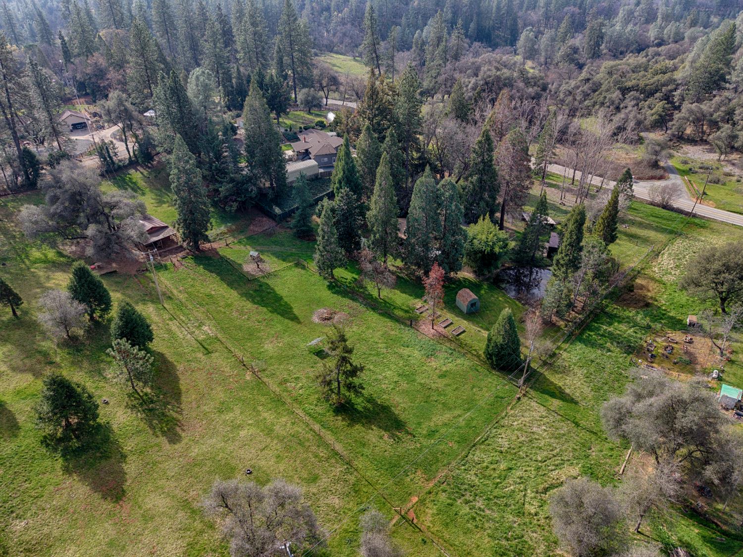 19520 Placer Hills Road Colfax, CA 95713 - Photo 43 of 59