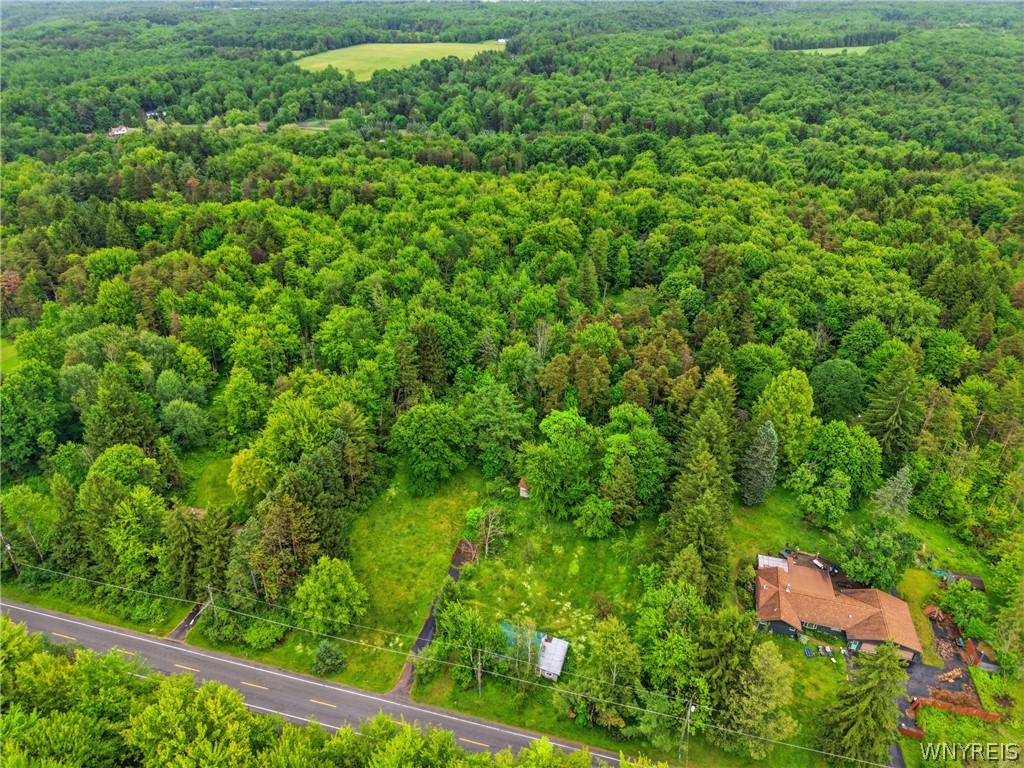 7499 Irish Road Colden, NY 14170 - Photo 4 of 10