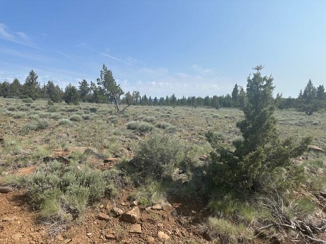 Nagel Ridge Way Chiloquin, OR 97624 - Photo 3 of 4 IMG_8420