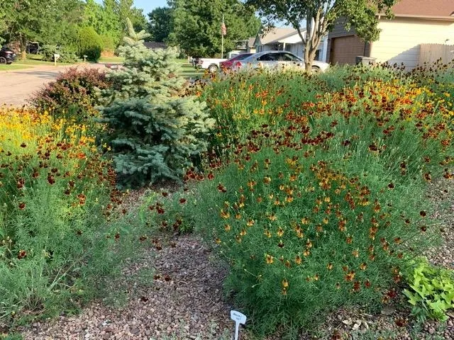 $248,500 | 1113 Lorna Lane, Newton, KS 67114