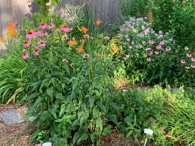 $248,500 | 1113 Lorna Lane, Newton, KS 67114