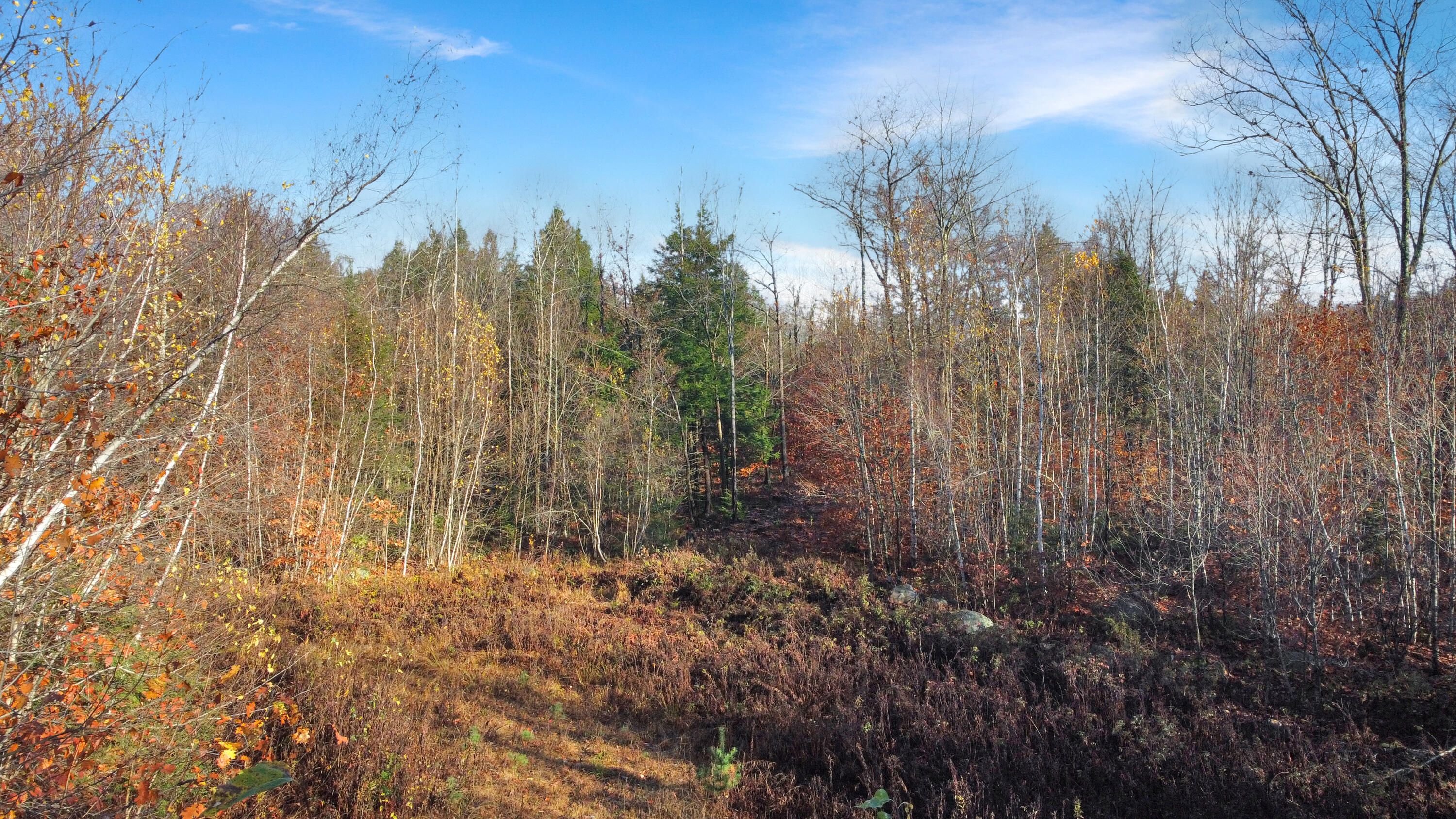 Lot 19 Bowles Road Livermore, ME 04253 - Photo 7 of 10 DJI_0715