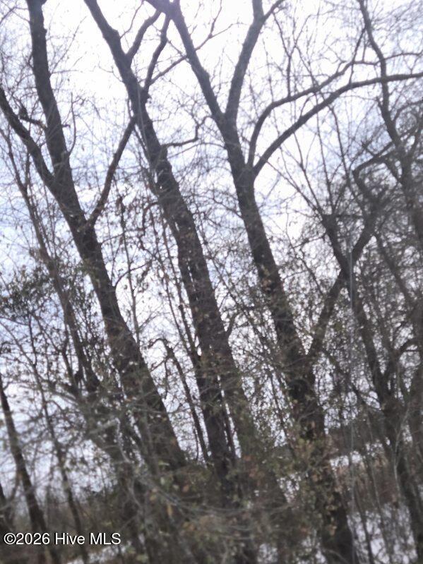 101 Estherville Road Elizabethtown, NC 28337 - Photo 12 of 32 796265507008