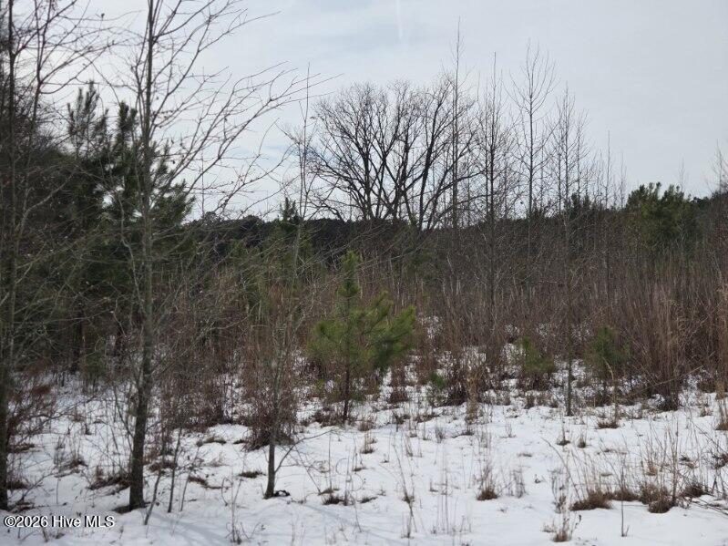 101 Estherville Road Elizabethtown, NC 28337 - Photo 2 of 32 796265262008
