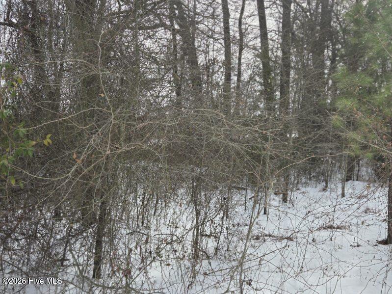 101 Estherville Road Elizabethtown, NC 28337 - Photo 3 of 32 796265263008