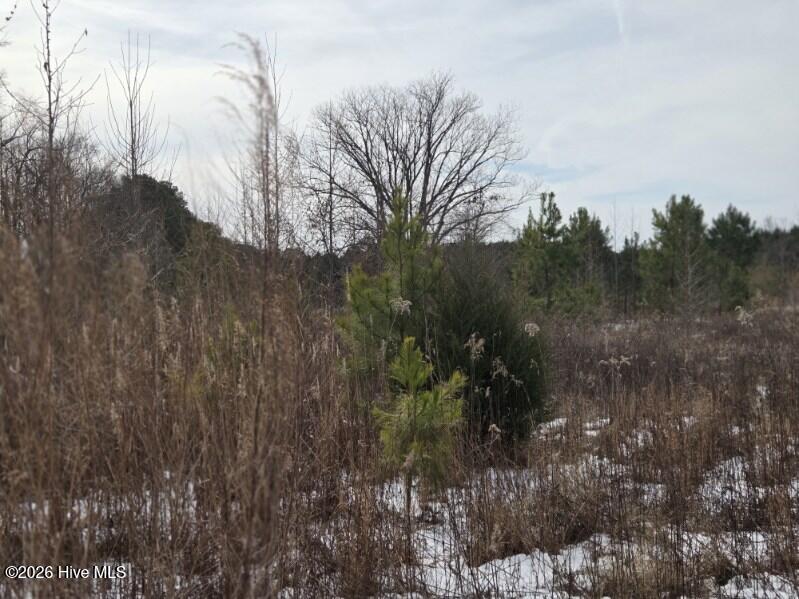 101 Estherville Road Elizabethtown, NC 28337 - Photo 7 of 32 796265268008
