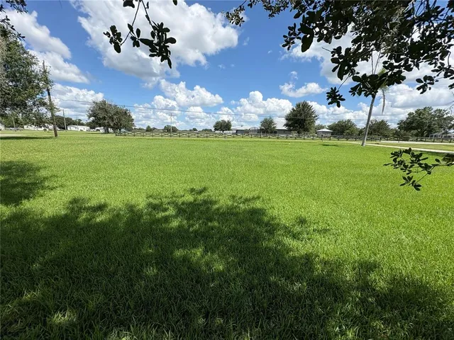 a view of yard with green space