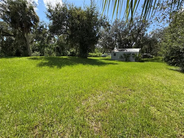 a backyard of a house with plants and large trees