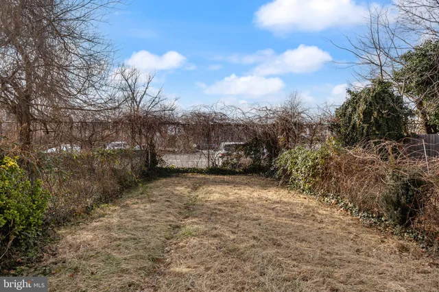 a view of a dry yard with trees