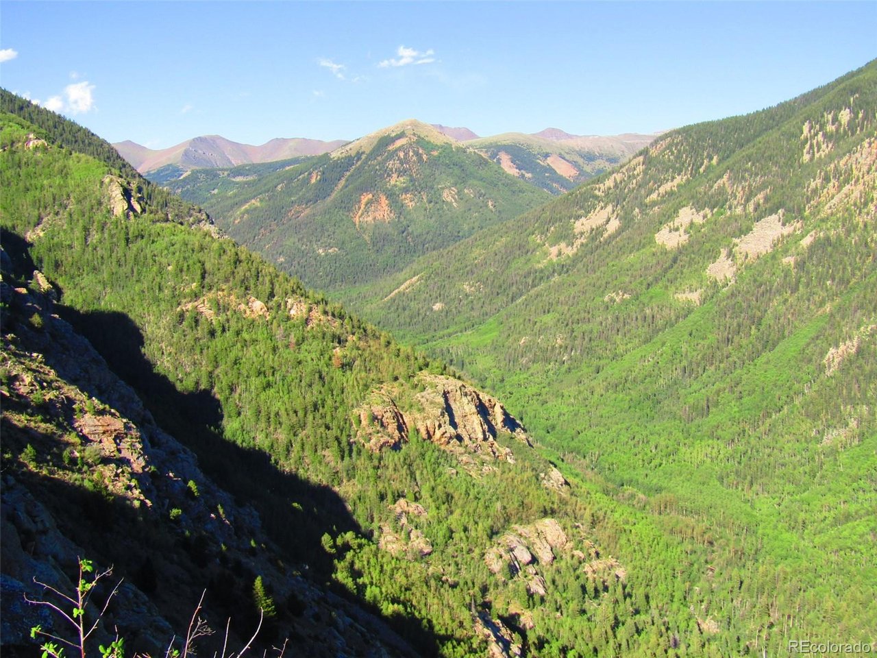 6427 Laffin Road San Luis, CO 81152 - Photo 26 of 42 a view of a lush green forest with mountains in the background