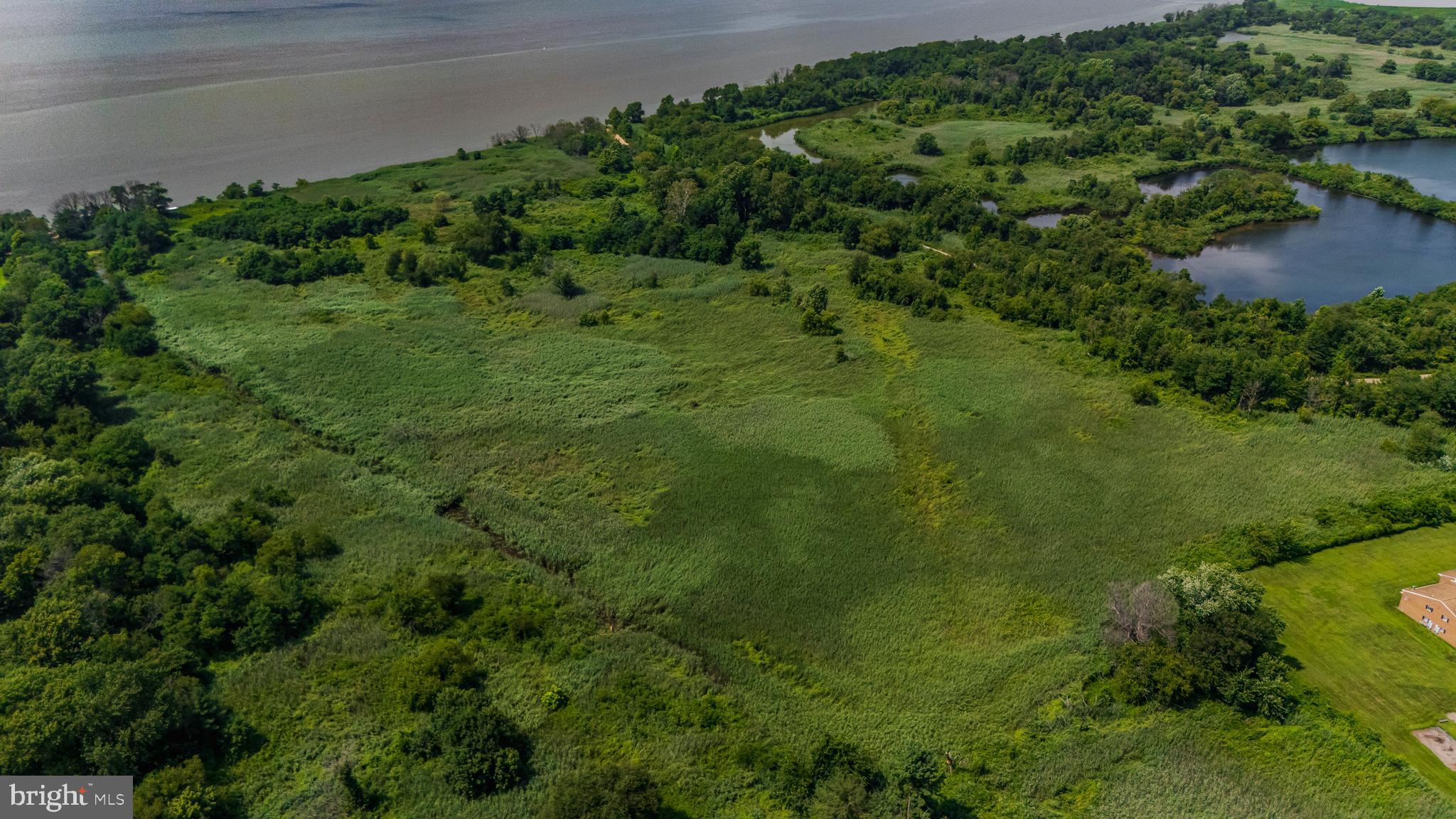 81 7th Avenue Carneys Point, NJ 08069 - Photo 17 of 23 a view of a lush green forest