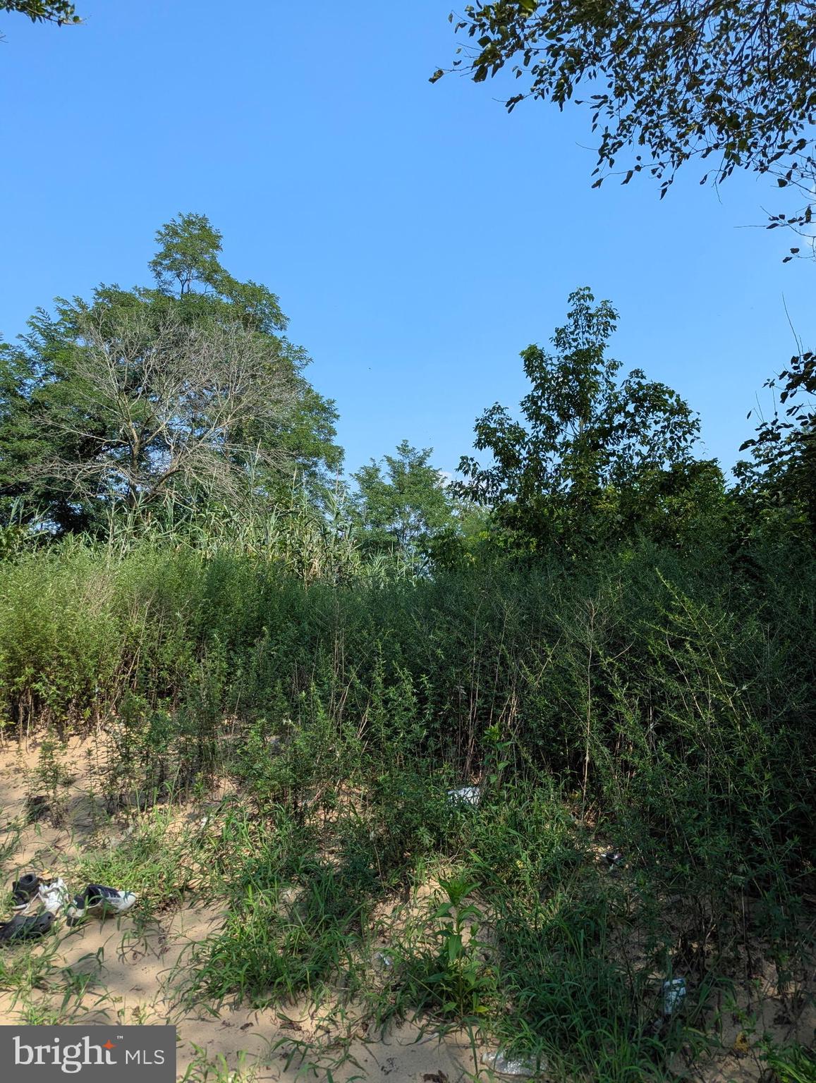 81 7th Avenue Carneys Point, NJ 08069 - Photo 20 of 23 a view of a forest