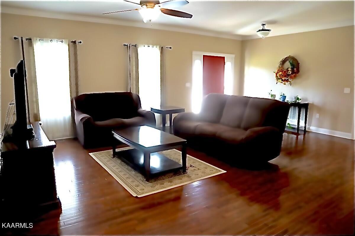 493 Collins Road Blaine, TN 37709 - Photo 6 of 21 Gallery Image 6
