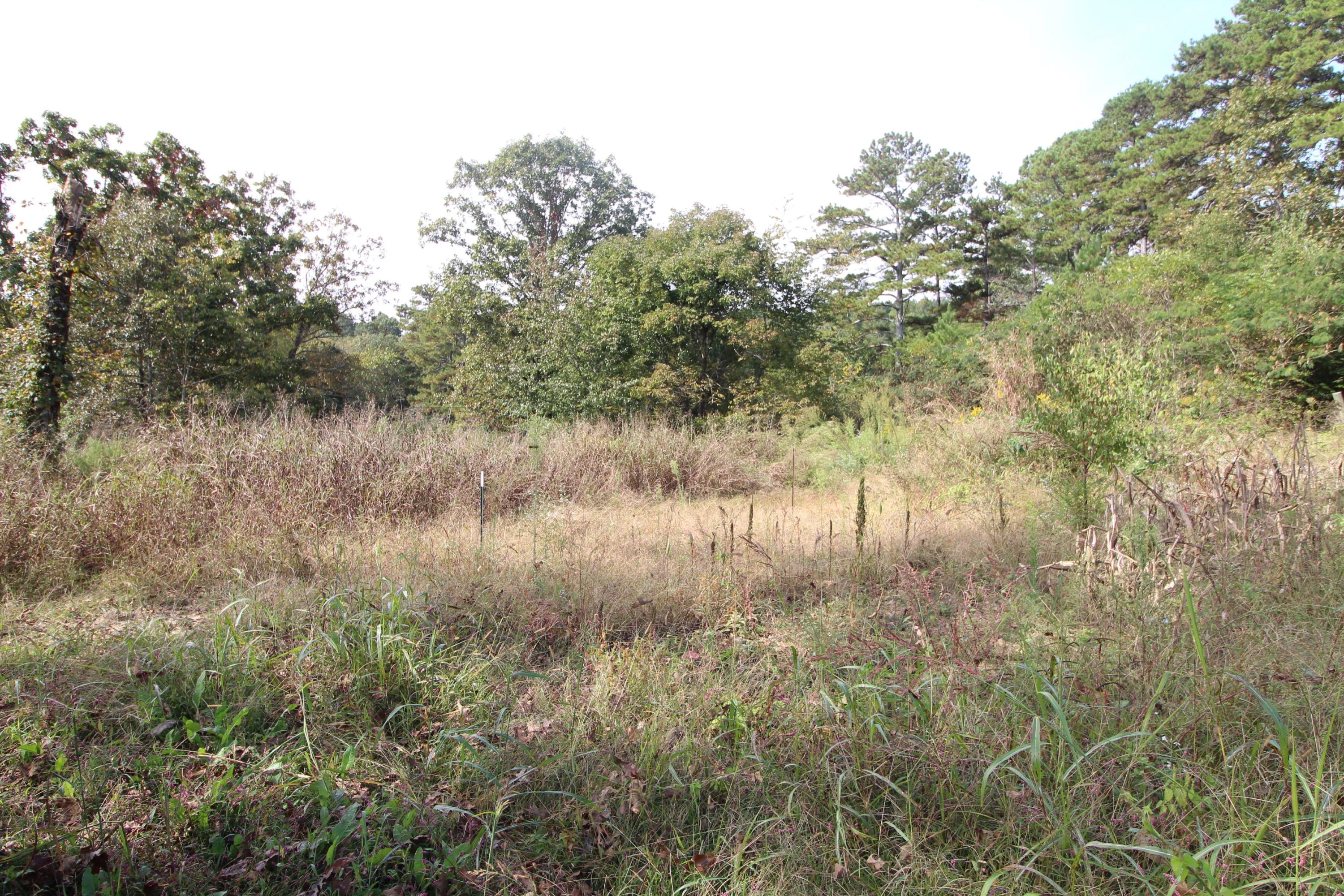 0 Southwest Bancroft Road McDonald, TN 37353 - Photo 2 of 4 IMG_2423