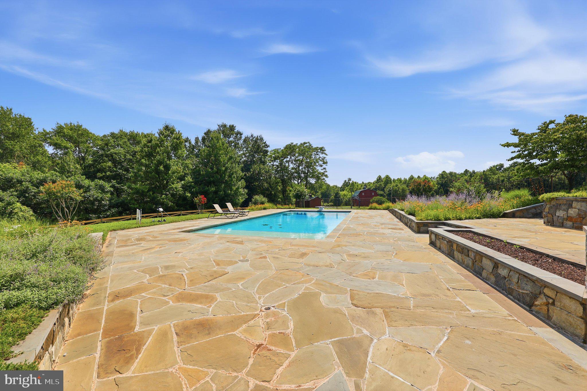 19014 Beallsville Road Poolesville, MD 20837 - Photo 59 of 83 Pool